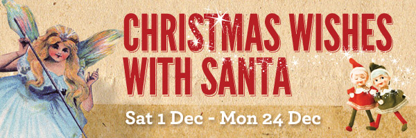 Christmas Wishes with Santa at McCrums Court, Armagh